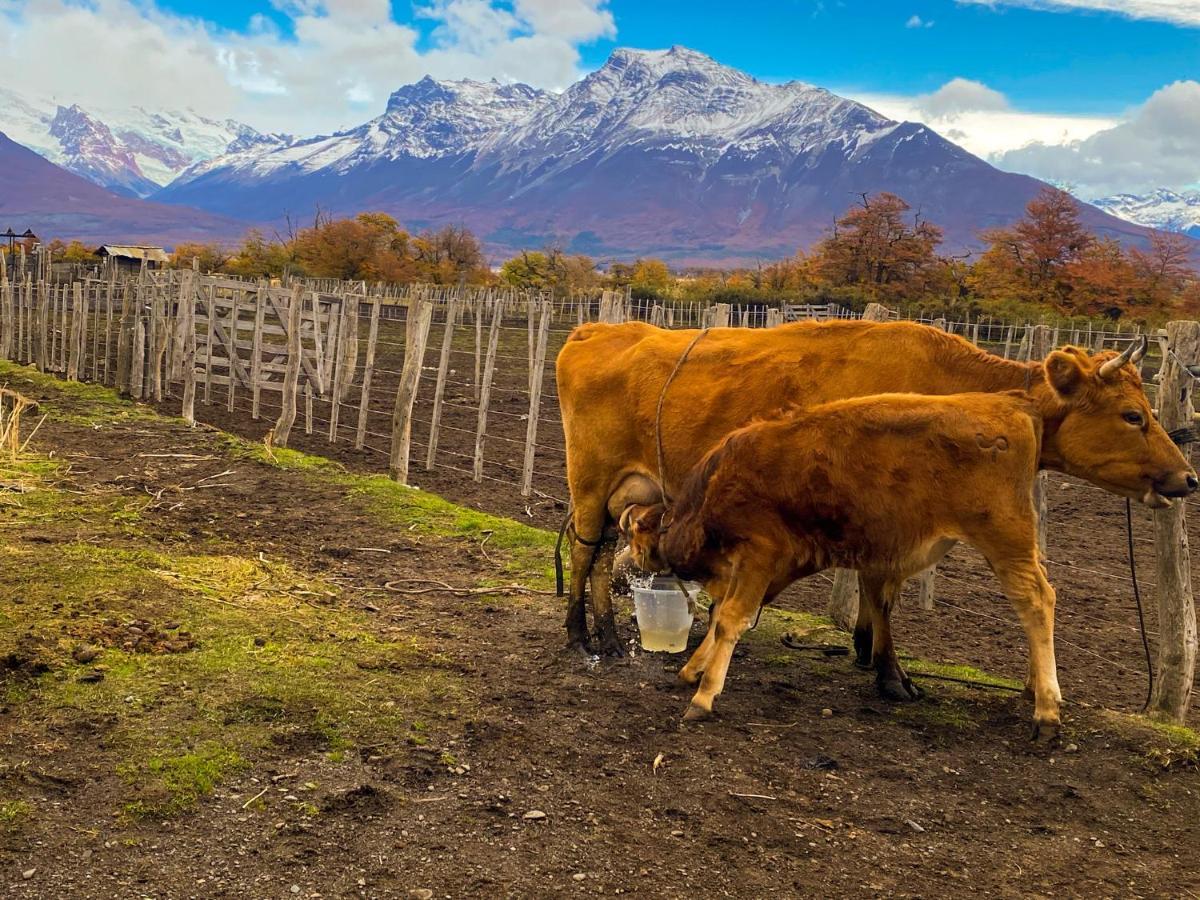 Estancia Nibepo Aike Colonia Francisco Perito Moreno Exterior foto