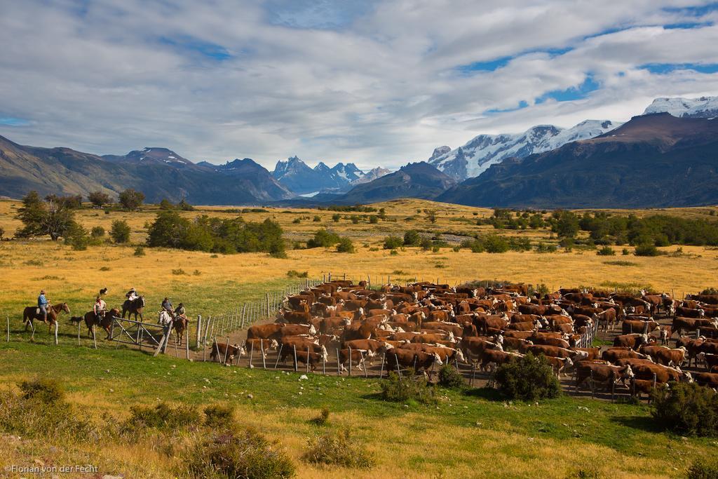 Estancia Nibepo Aike Colonia Francisco Perito Moreno Exterior foto